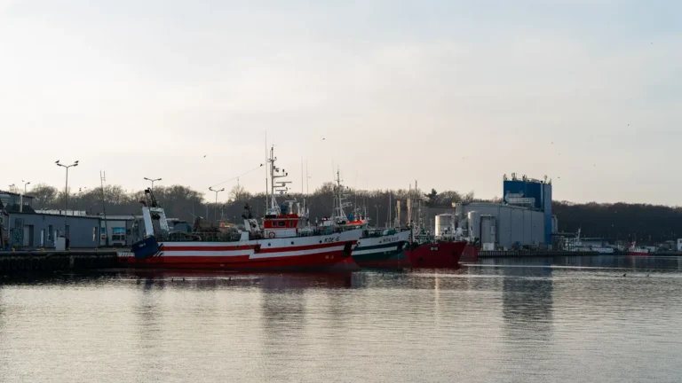 A serene view of fishing boats docked in the Kołobrzeg harbor, Poland during daytime.